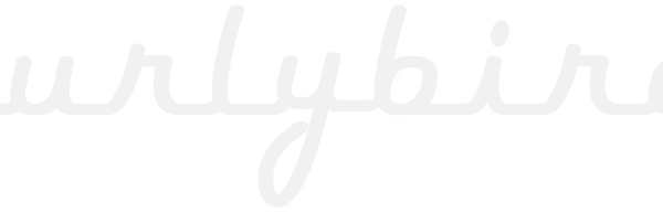 Wurlybird 140B Electric Piano